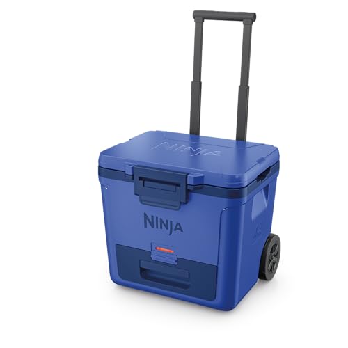 https://m.media-amazon.com/images/I/31O1vNuKGiL._SS64_.jpg