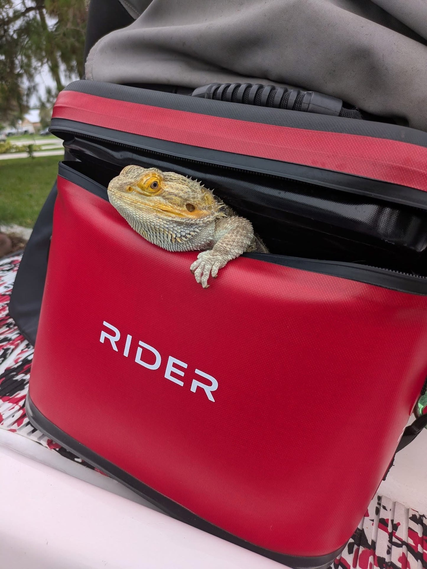 Rider Coolers RC-101 Jet Ski Cooler Set of 2 – Red | 6 Can PWC Saddle Bag Cooler