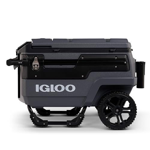 https://m.media-amazon.com/images/I/410wDmvsRvL._SS64_.jpg