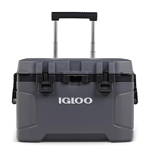 https://m.media-amazon.com/images/I/411o-DBel8L._SS64_.jpg