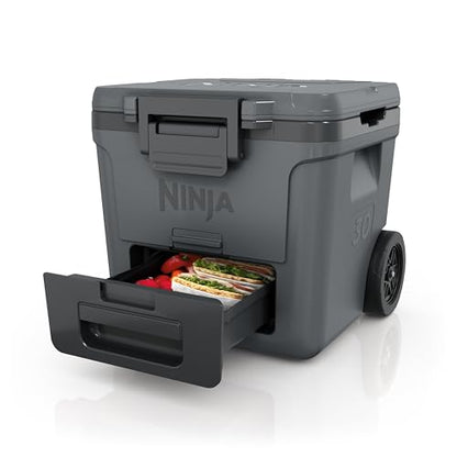 https://m.media-amazon.com/images/I/41AjaAEnGuL._SS64_.jpg