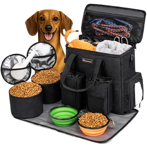 https://m.media-amazon.com/images/I/51KQBjiLVHL._SS64_.jpg
