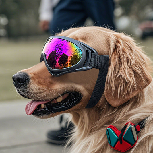 Dog Windproof Sunglasses | UV Protection Pet Goggles for Outdoor Adventures